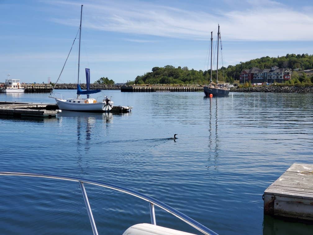 Pirate-Themed Playground