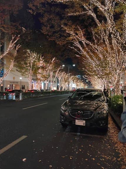 Luxury Boutiques and High-End Shopping