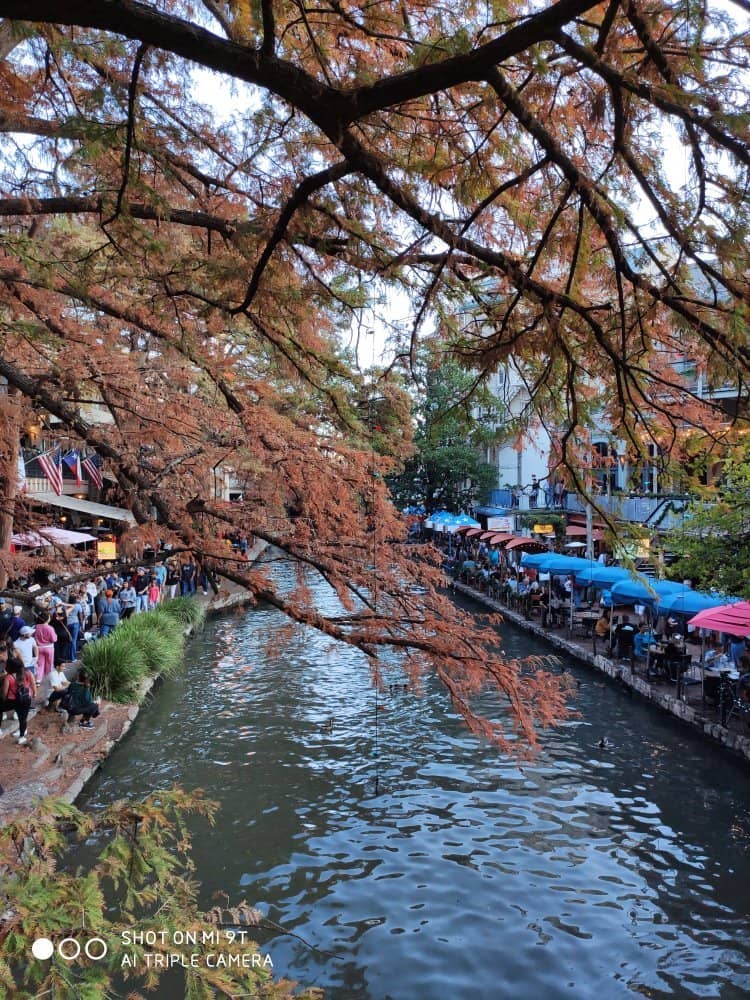 The Glasshouse Hotel