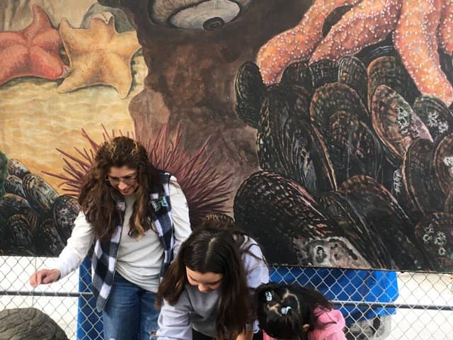 Southern California Marine Life Exhibits