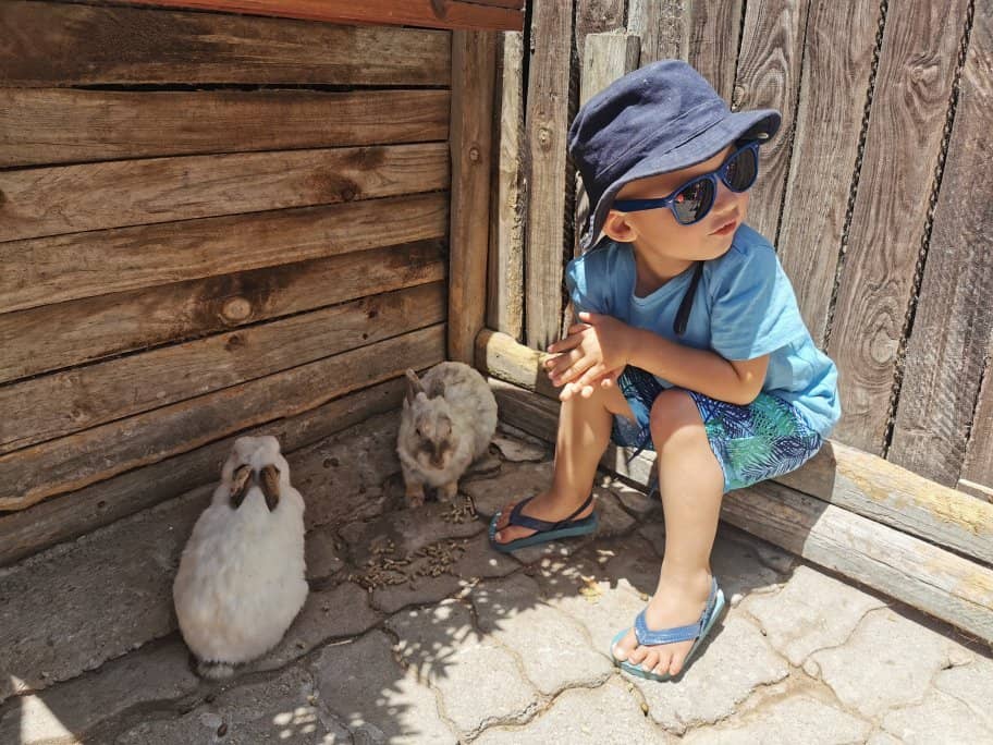 Animal Encounters