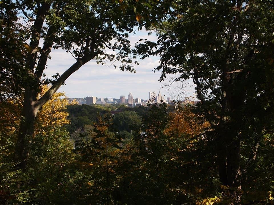 Nice view from the park