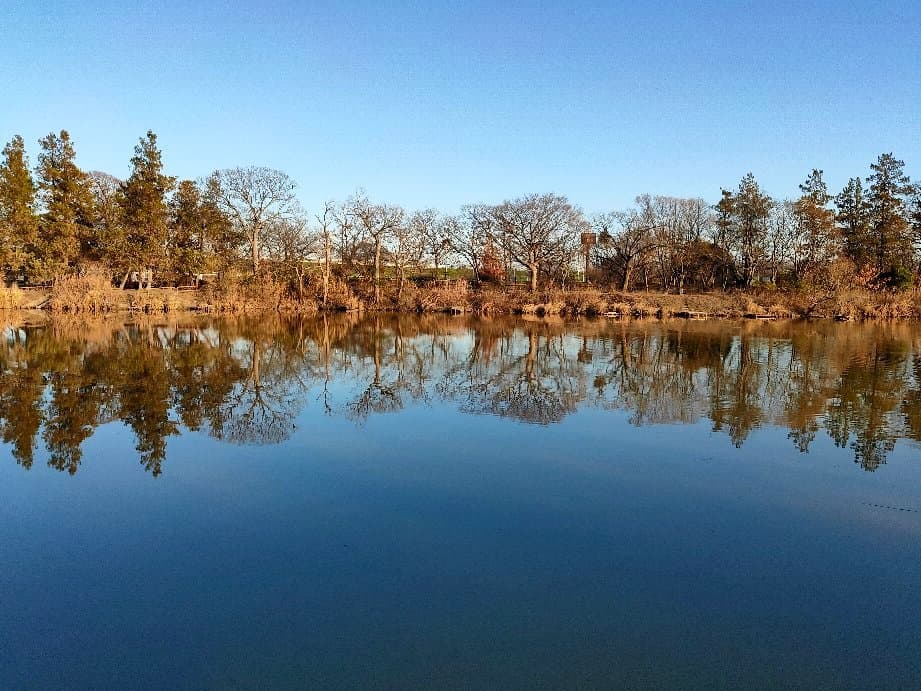 Lake Saiko