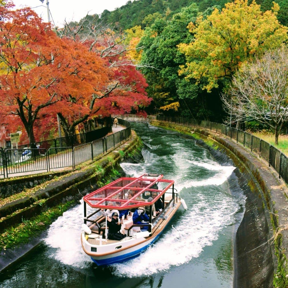 晩秋の安祥寺橋から見るびわ湖疏水船
