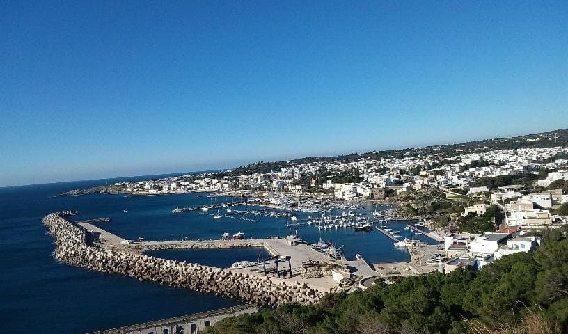 panorama