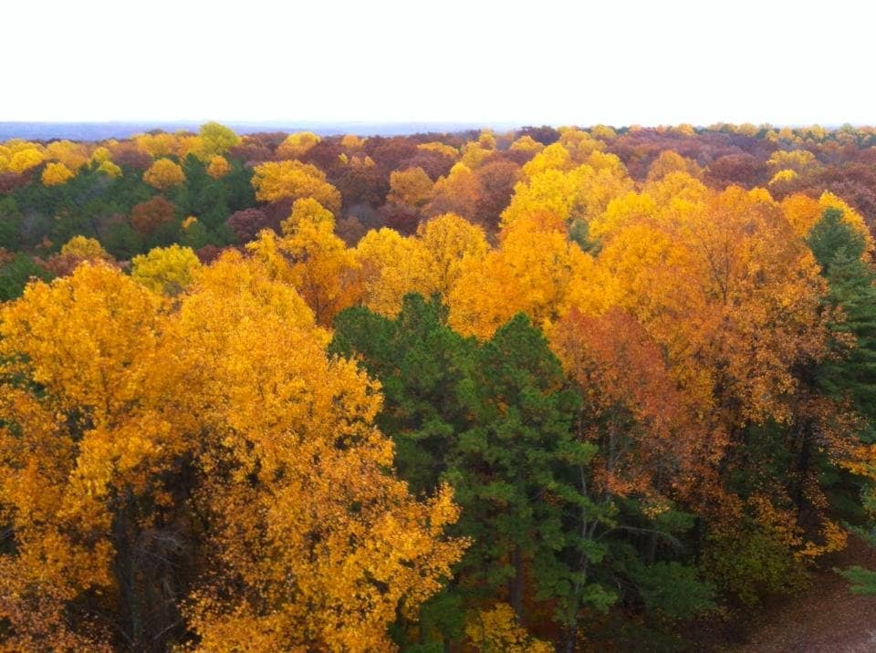 Hickory Ridge Fire Tower