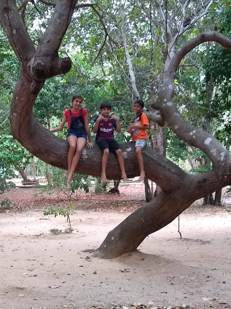 Nature Trails