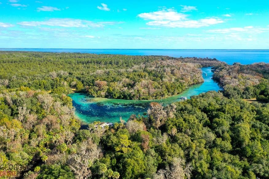Ocala National Forest Setting