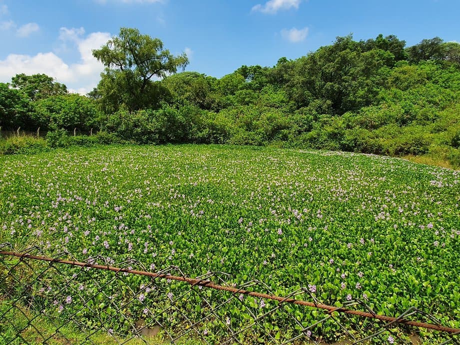 Reserva Experimental Horco Molle Tucumán Argentina