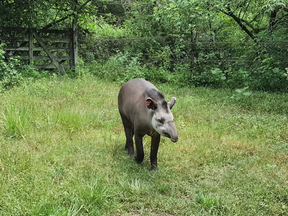Hiking and Biking Trails