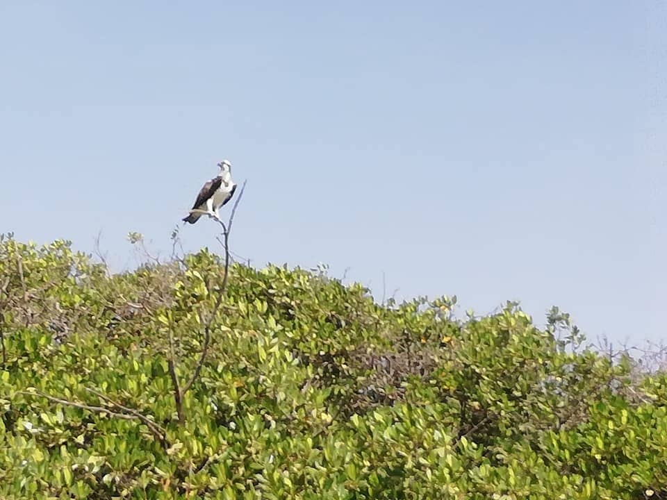 Birdwatching Paradise