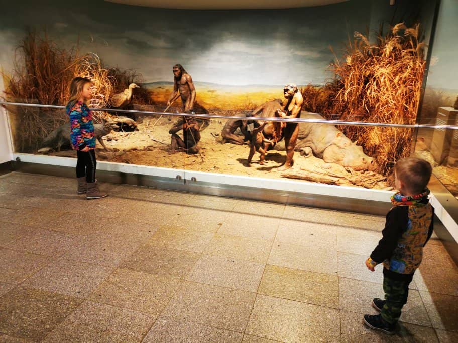 Amazonia Exhibition