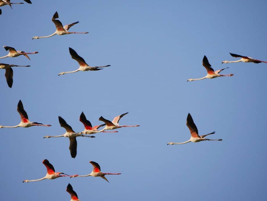 The Lakes of Al Qudra