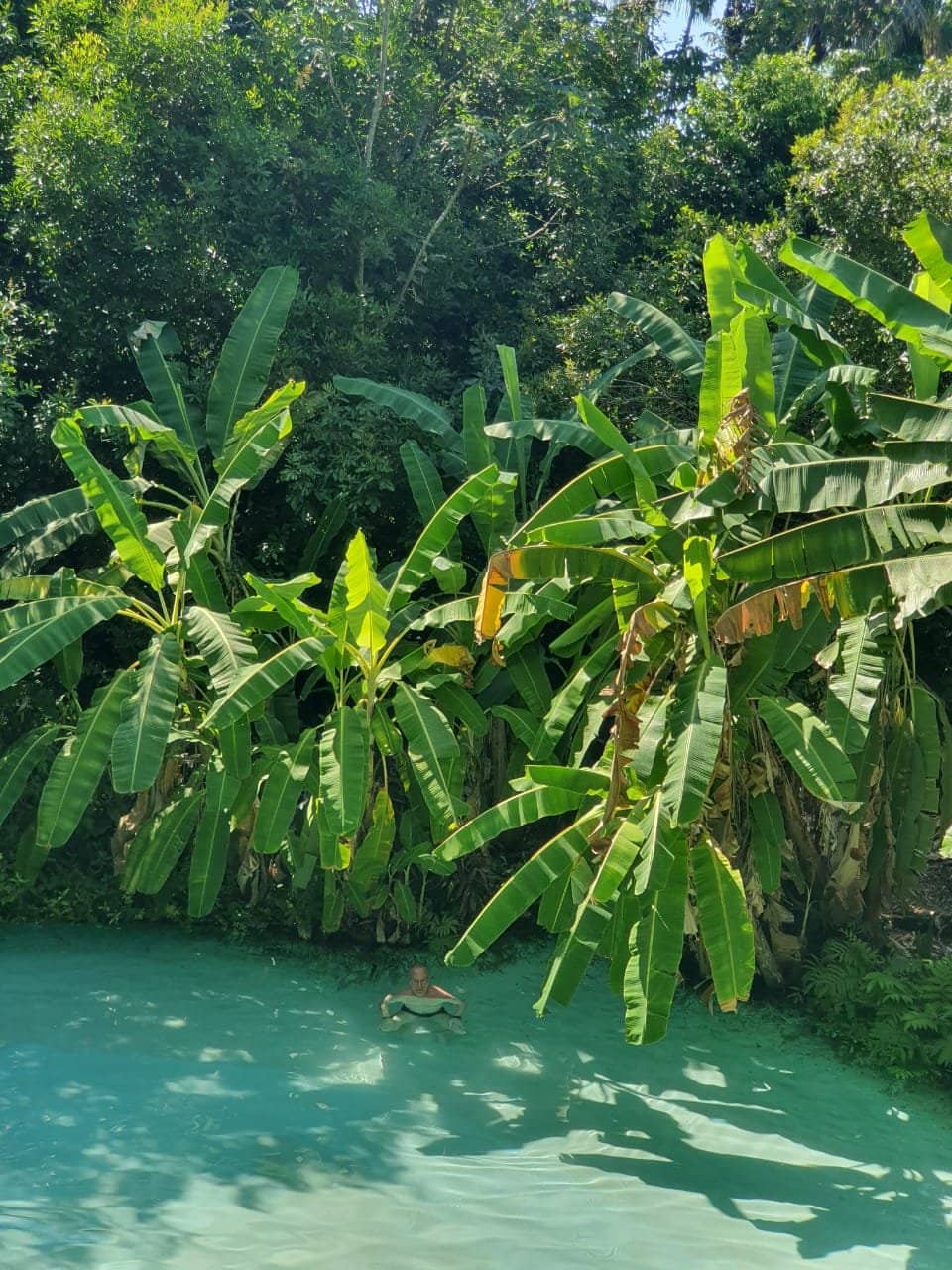 The River Bonus