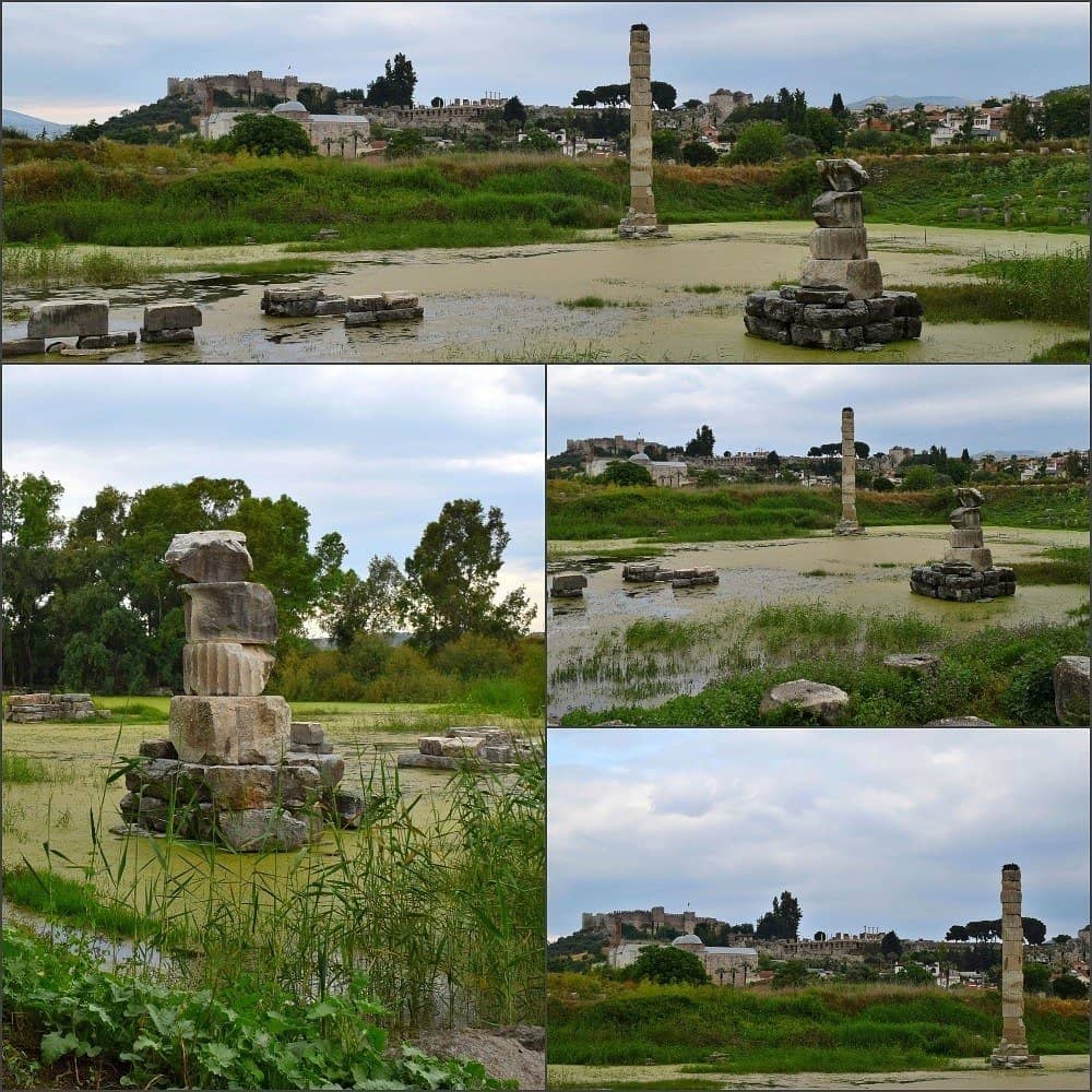 The Sole Reconstructed Column