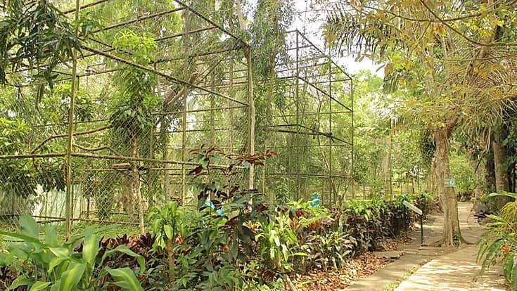 Conservation Breeding Program