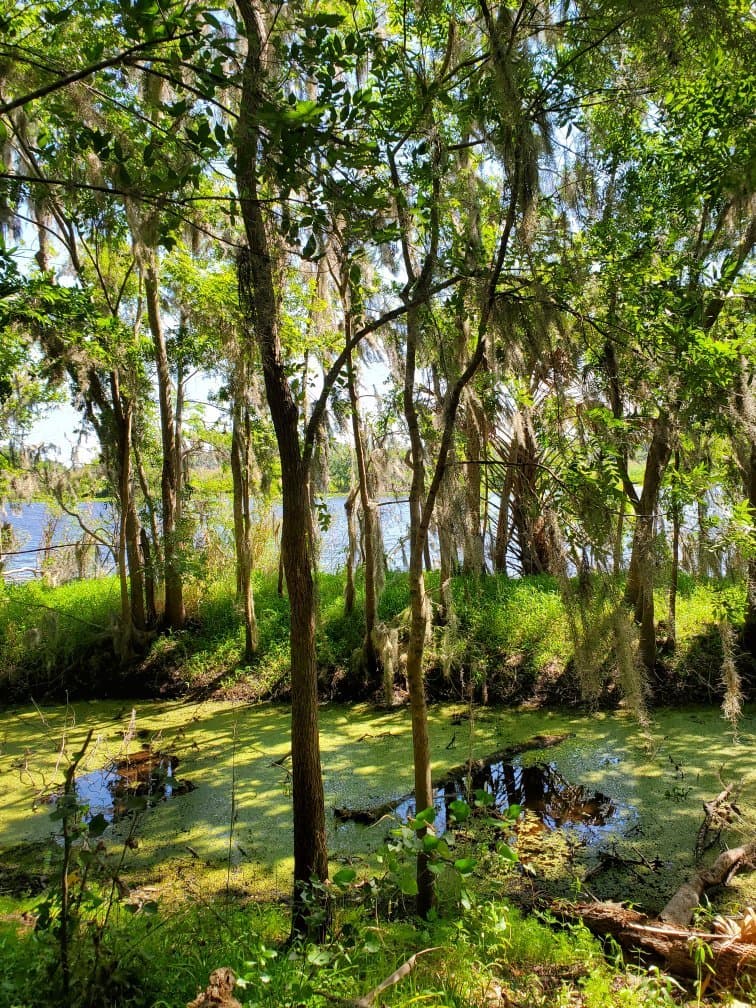 Black Elk Wilderness