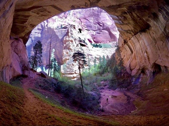 Vertical photo