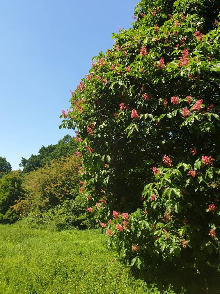 Crust & Crumb Bakery