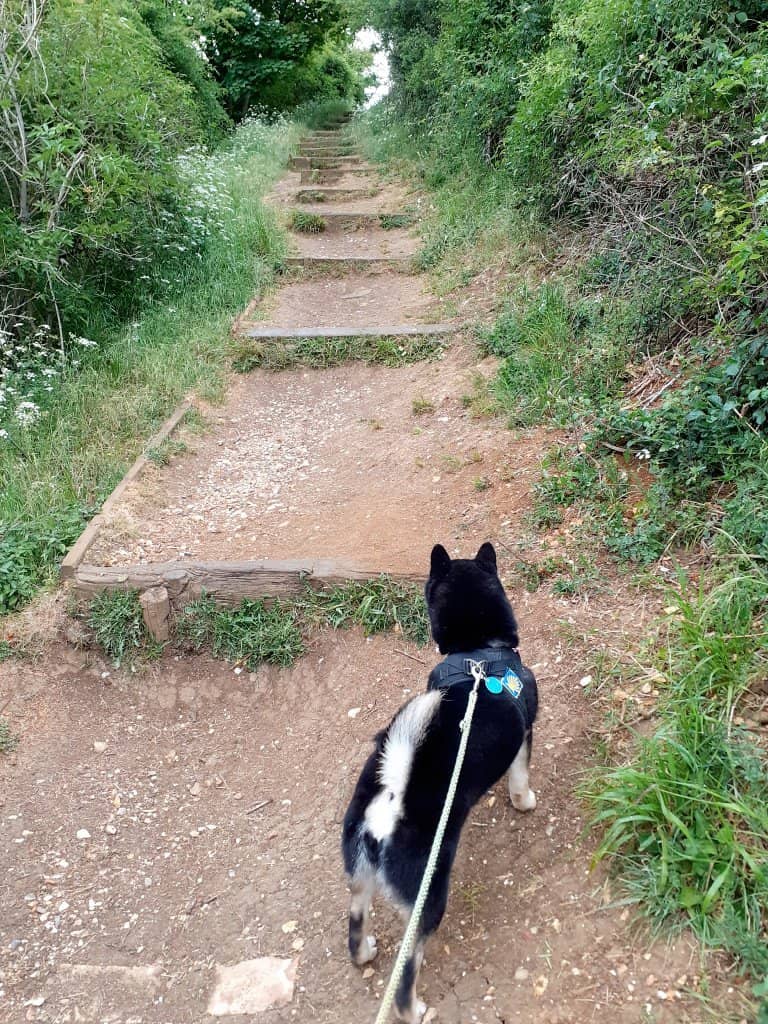 Panoramic Countryside Views