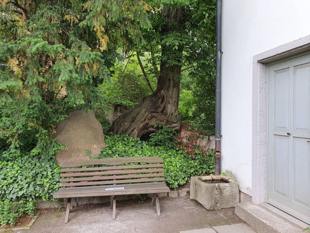 The Enchanting Garden