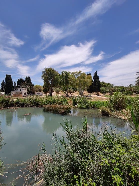 גשר צלבני מבנה ברטי ועותעמני...