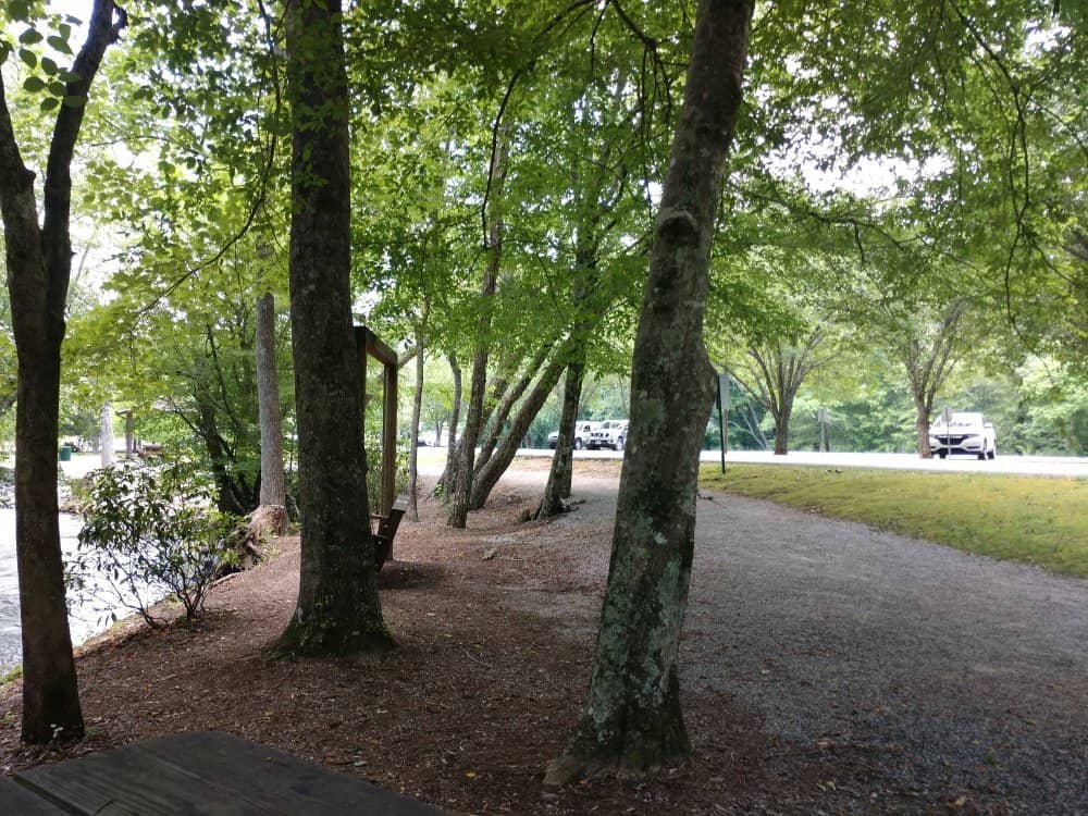 Sorghum Festival Fun