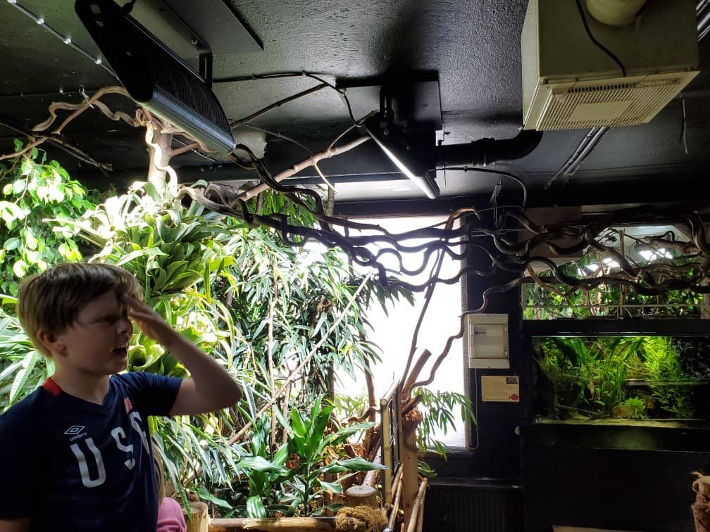 Free-Roaming Animals