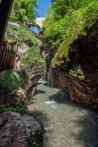 Vertical photo