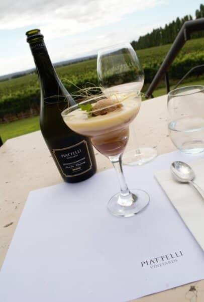 Gourmet Lunch with Wine Pairings