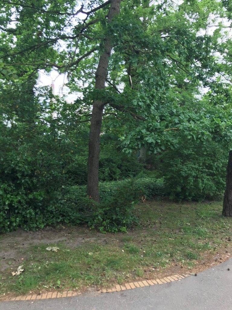 Playground & Sports Area