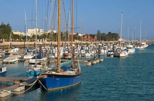 Traditional Fish Market