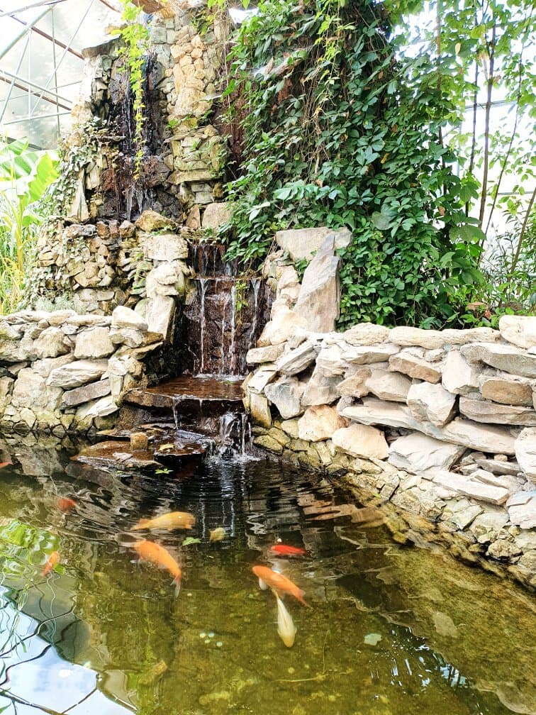 Microrezervatia Constanta