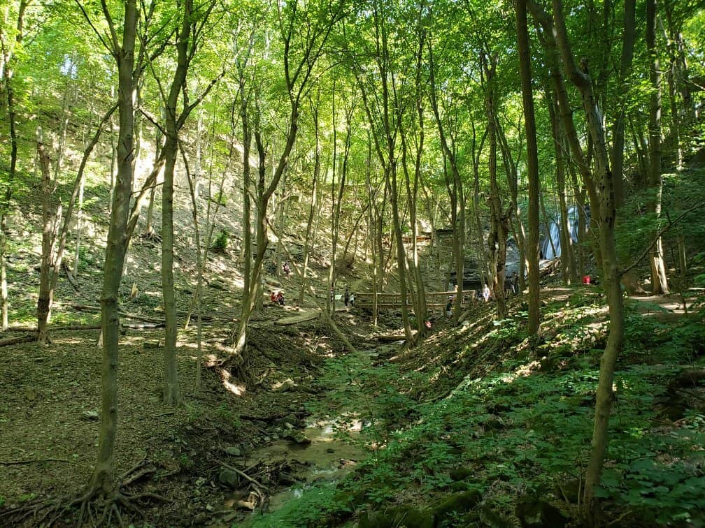 Proximity to Other Falls