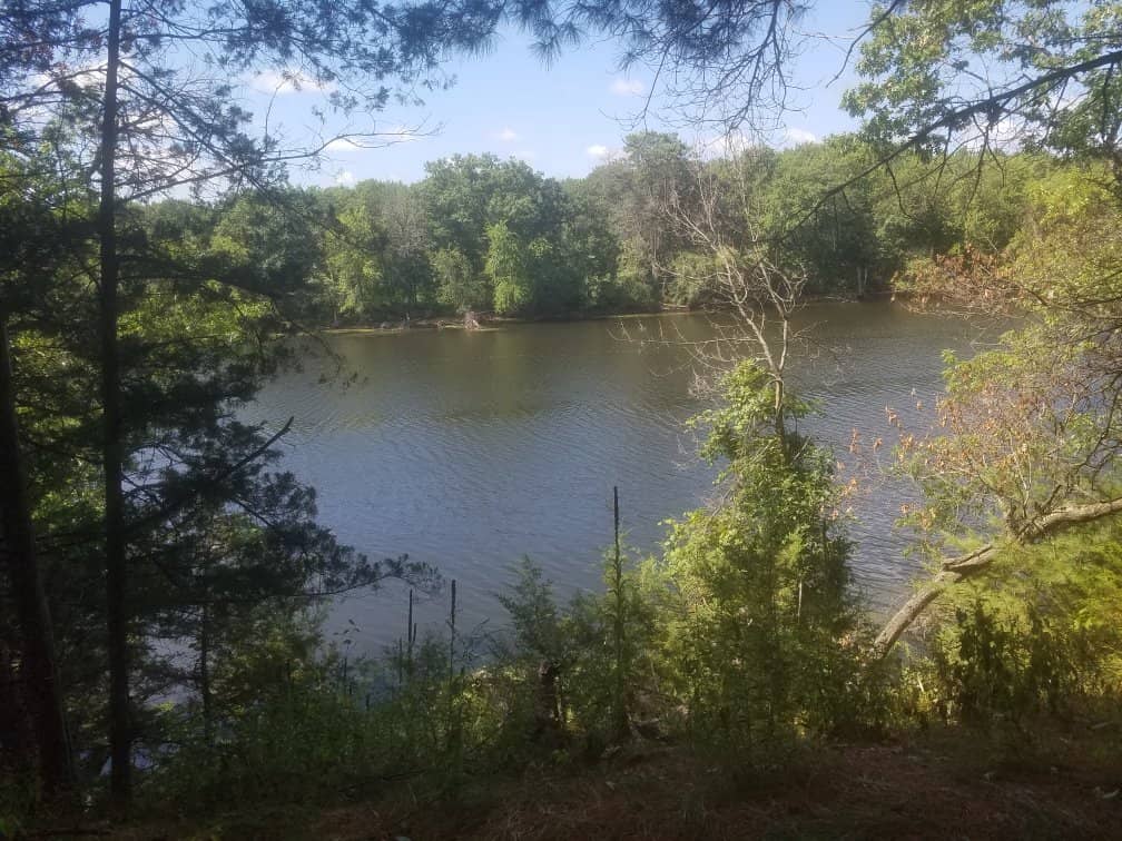 Nature Center Programs