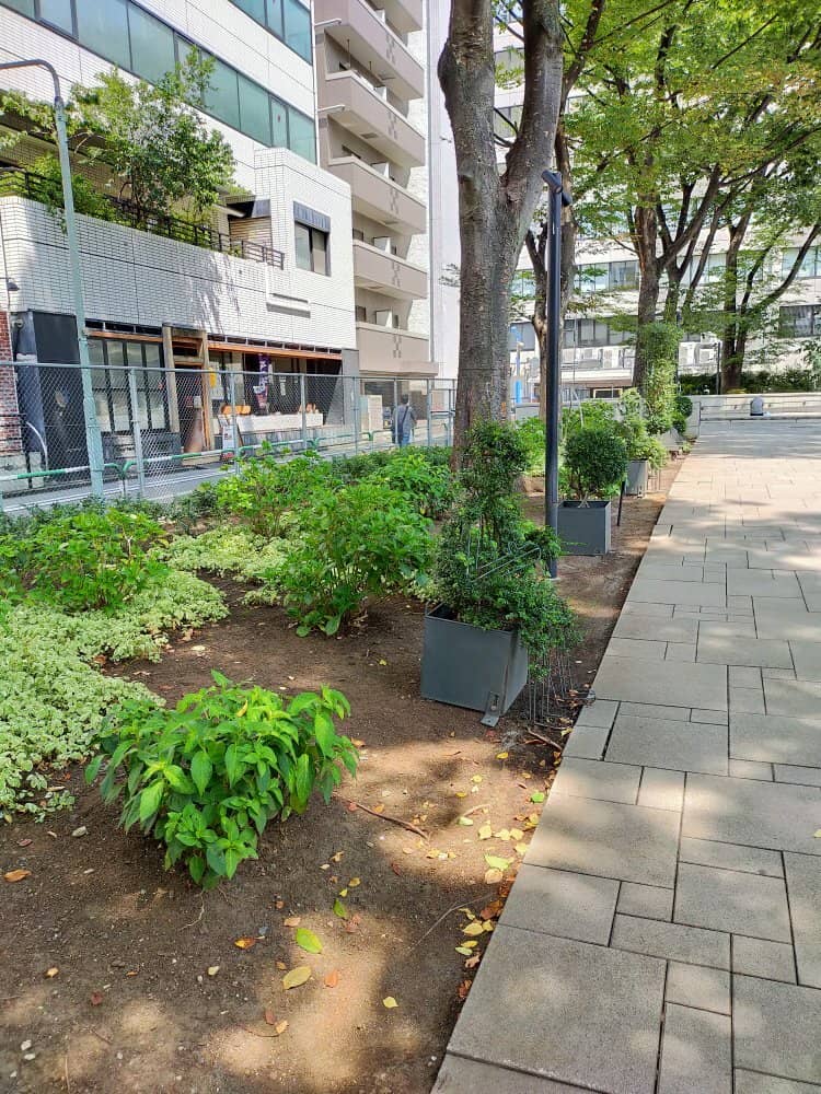 Kid-Friendly Play Area