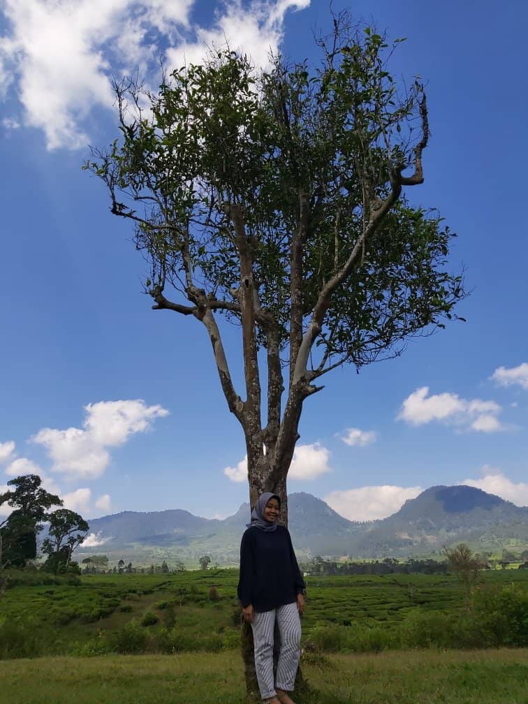 Vertical photo
