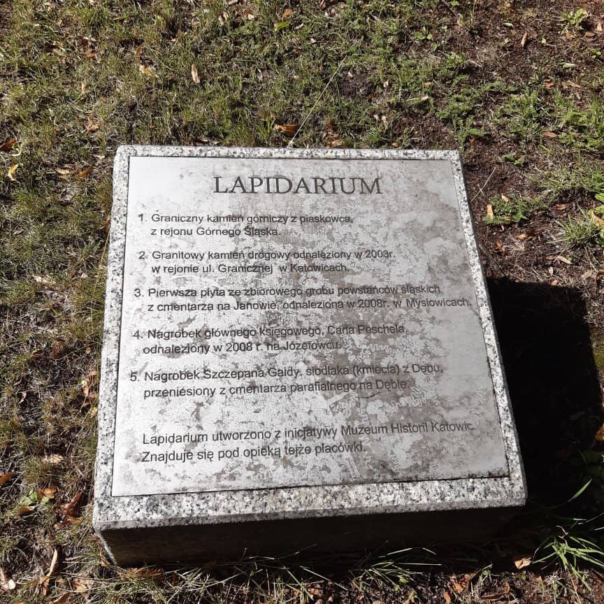 Kościuszko Park Setting