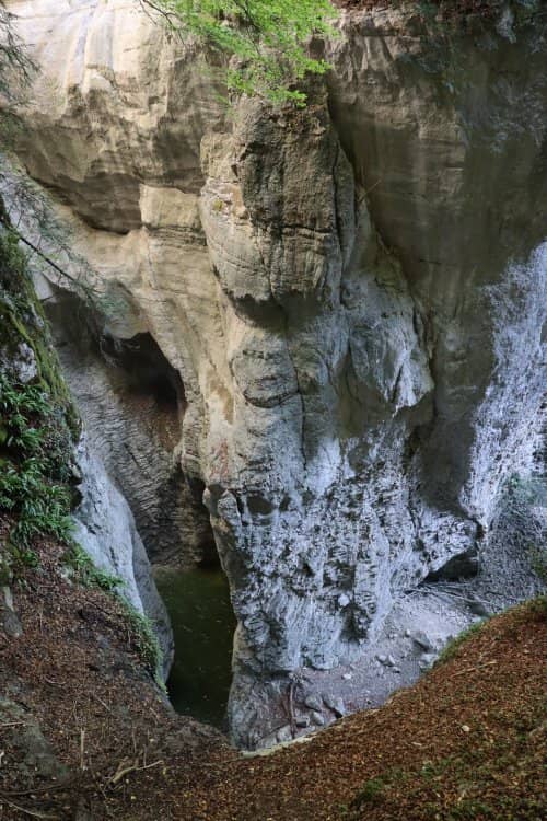 Vertical photo