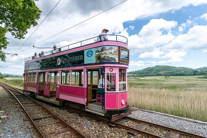 Tram 11 (pink) travelling south to Seaton