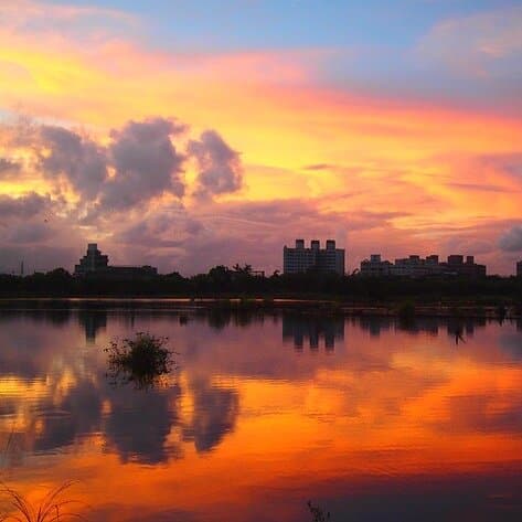 羅東林業文化園區