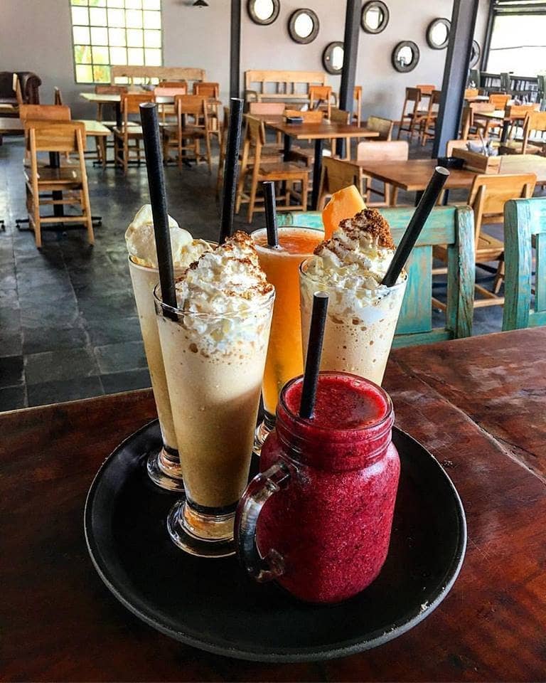 Manta Ray Encounters