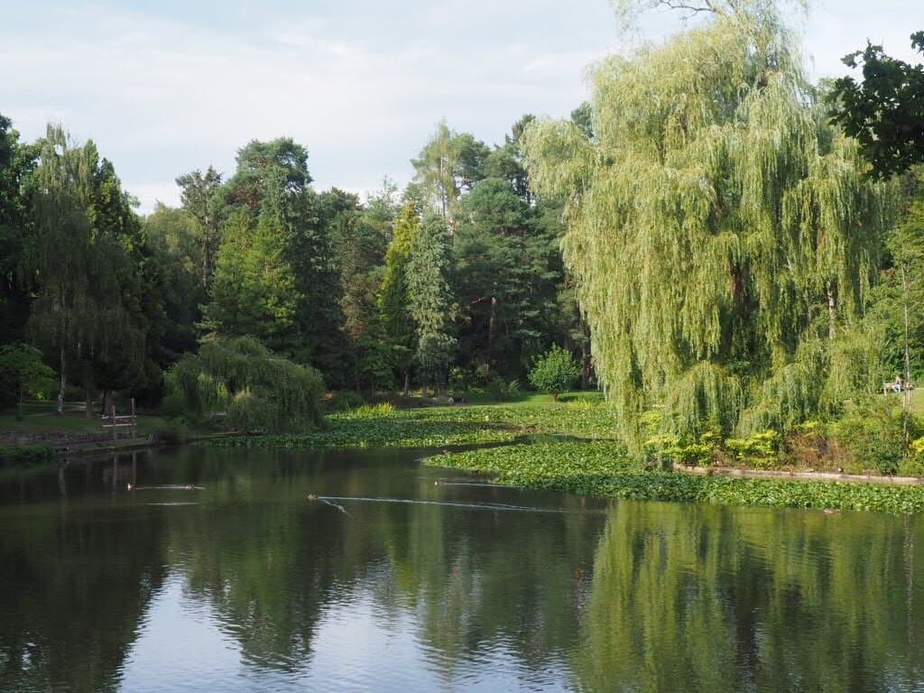 Hainpark