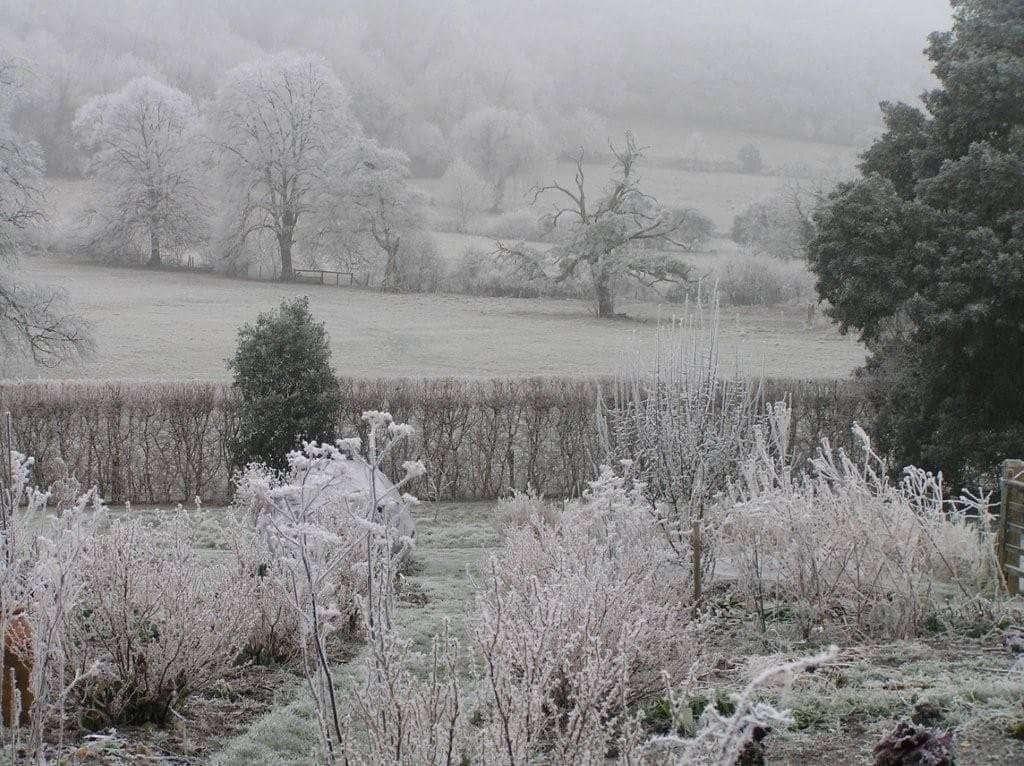 White's Naturalist World