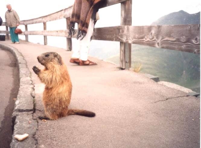 Kaiser-Franz-Josefs-Höhe