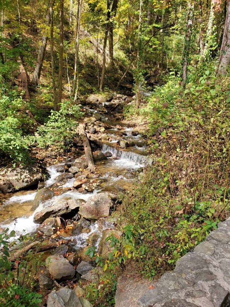 The Majestic Amicalola Falls