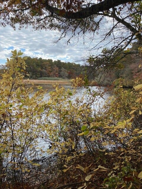 The Mashpee River