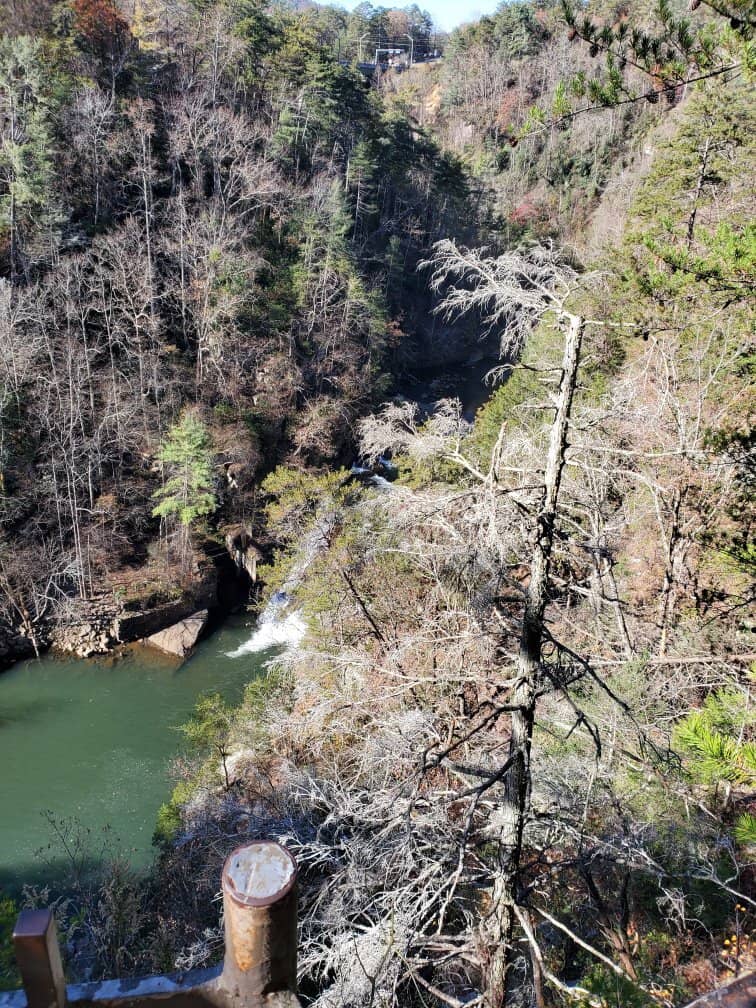 Suspension Bridge