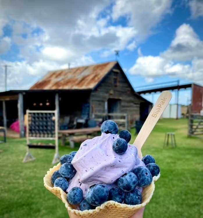 Artisan Ice Cream Flavors