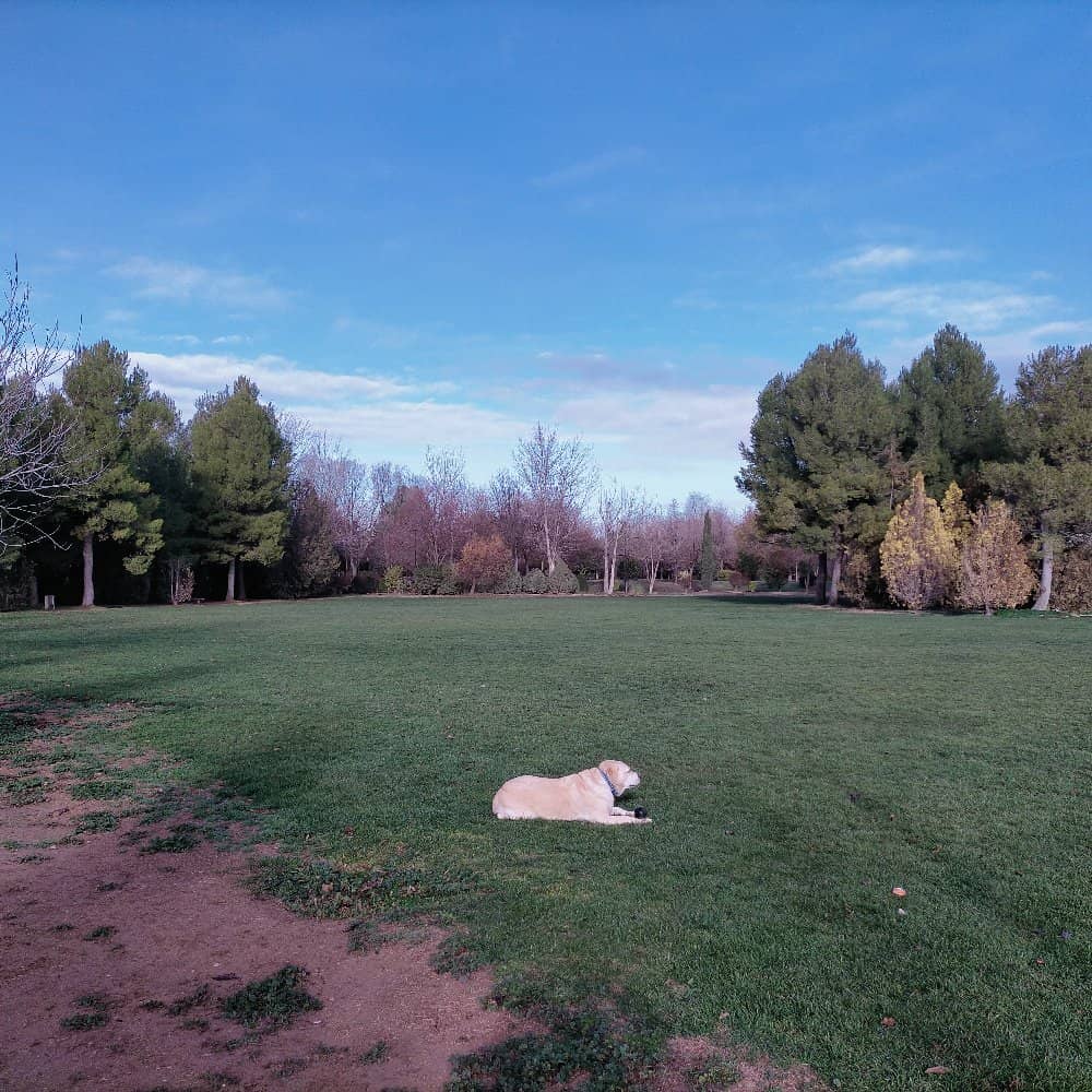 Kids' Adventure Zone